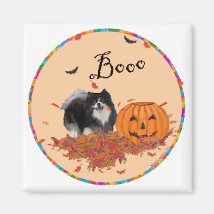 Íman Pomerânia Preto Halloween