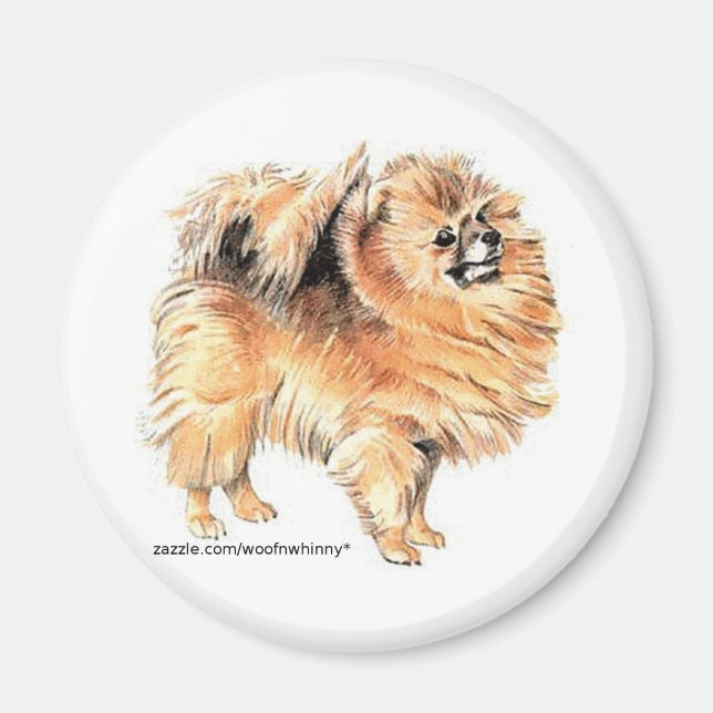 Íman Pomeraniano! (Frente)