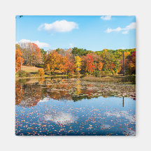 Pond cercado por árvores deciduosas coloridas