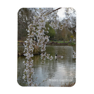 Íman Pond na RHS Wisley, Inglaterra