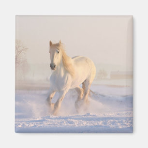 Íman Pônei Fazenda equestre branco