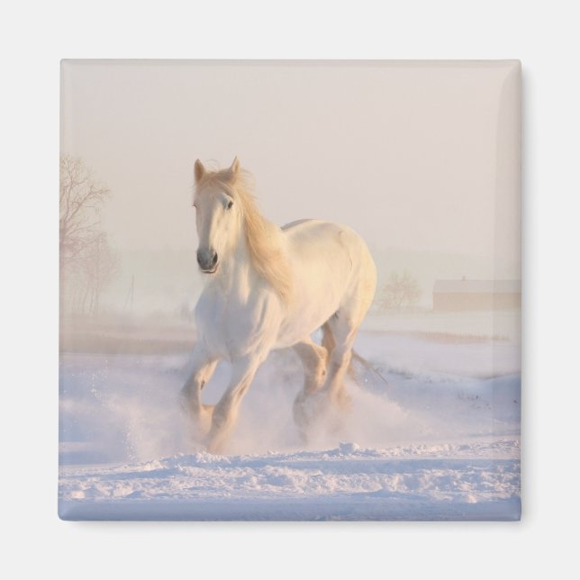 Íman Pônei Fazenda equestre branco (Frente)