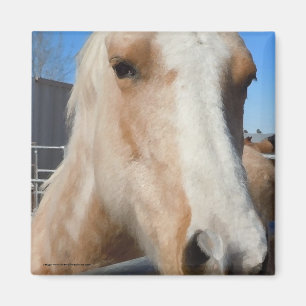 Íman Pônei louro dourado grande do Palomino dos olhos