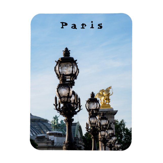 Íman Pont Alexandre III - Paris, França (Vertical)