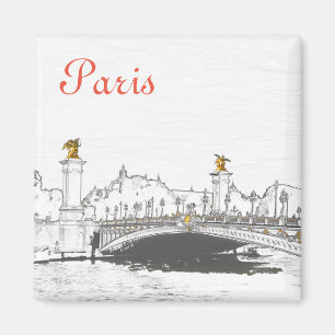 Íman Pont Alexandre III sobre o rio Sena - Paris Franç