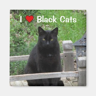 Íman Ponte Black Cat I Love Black Cats Magnet