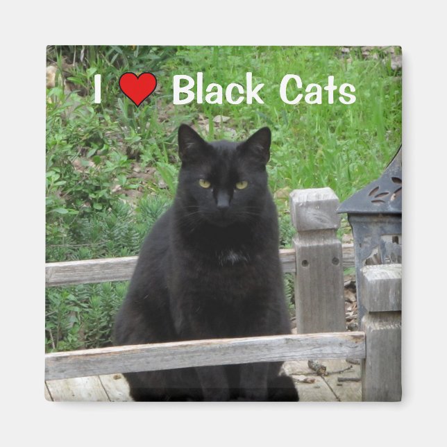 Íman Ponte Black Cat I Love Black Cats Magnet (Frente)