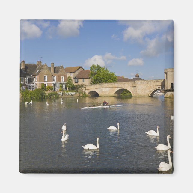 Íman Ponte de arco de pedra e Rio Ouse, St Ives, (Frente)