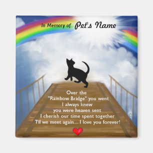 Íman Ponte do arco-íris para gatos