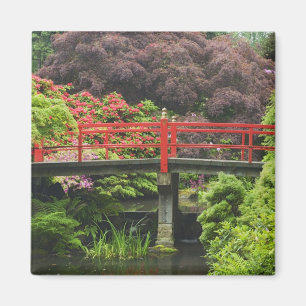 Íman Ponte do Coração com rododendros floridos,