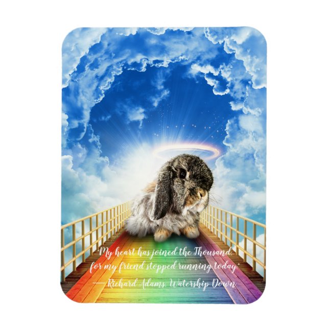 Íman Ponte do Magnet de Muitas Cores (Vertical)