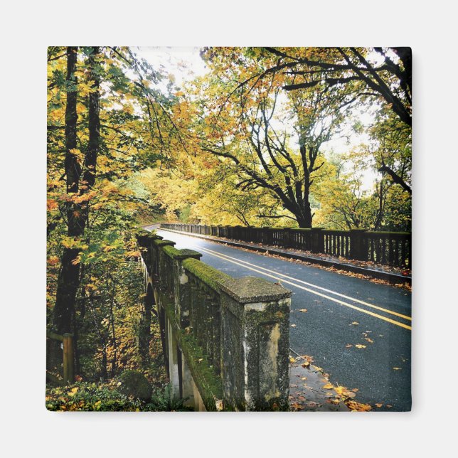 Íman Ponte em Latourell Falls, Oregon (Frente)