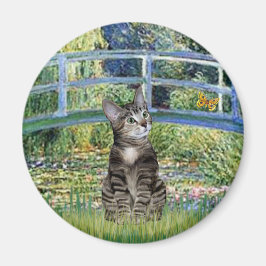Íman Ponte - Gato Tigre Tabby 31