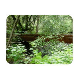Íman Ponte Muir Woods I