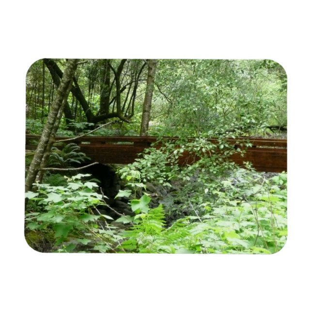 Íman Ponte Muir Woods I (Horizontal)