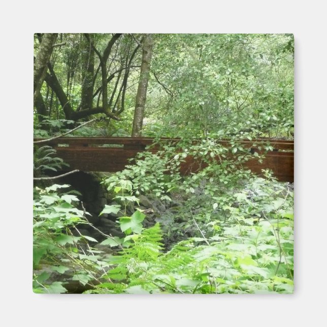 Íman Ponte Muir Woods I (Frente)