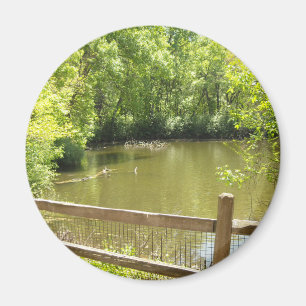 Íman ponte quintal