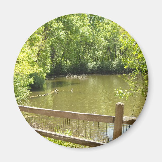 Íman ponte quintal (Frente)