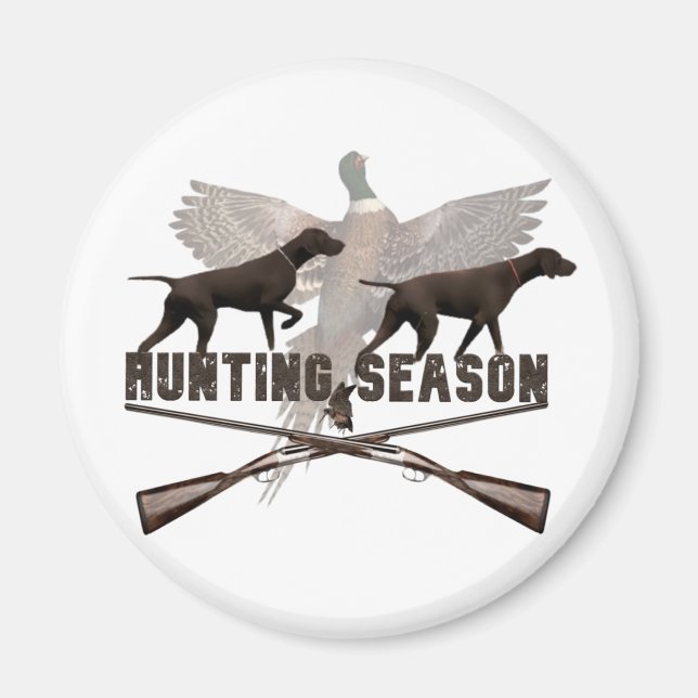 Íman Ponteiro alemão de curta distância,kurzhaar (Frente)