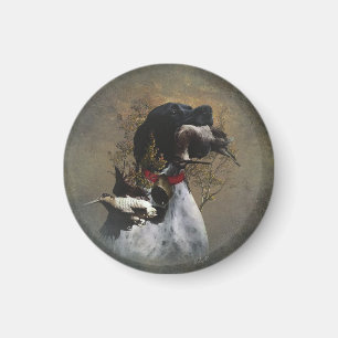 Íman Ponteiro inglês