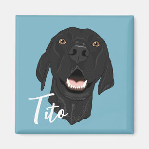 Íman Ponteiro Preto