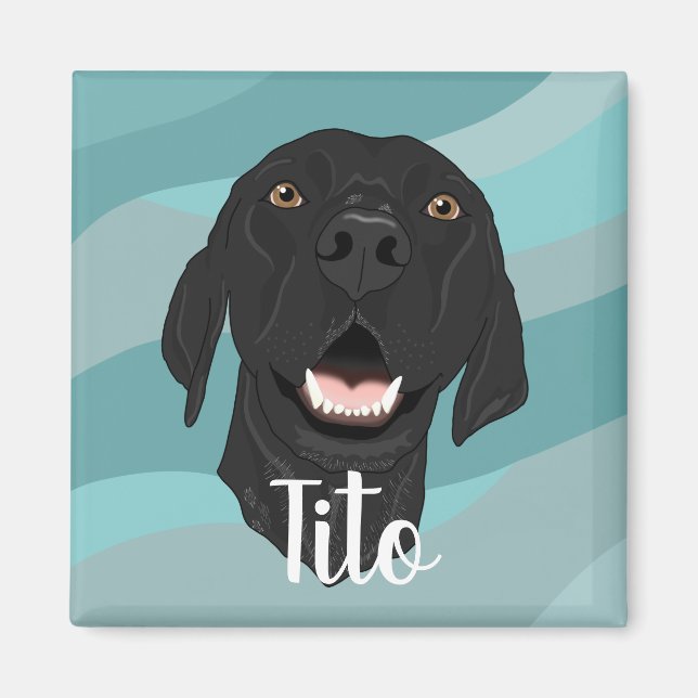 Íman Ponteiro Preto (Frente)