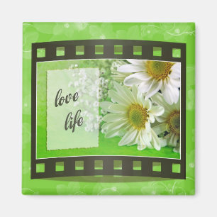 Íman Ponto a Ponder