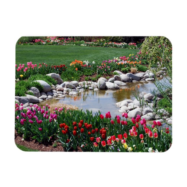 Íman Ponto de Ação de Graças - Imagem Flexível (Horizontal)