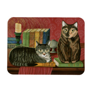 Íman Ponto de entrada literário clássico dos gatos,