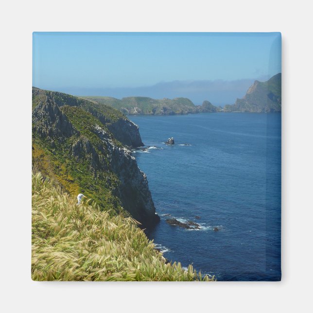 Íman Ponto de Inspiração II da Anacapa nas Ilhas do Can (Frente)