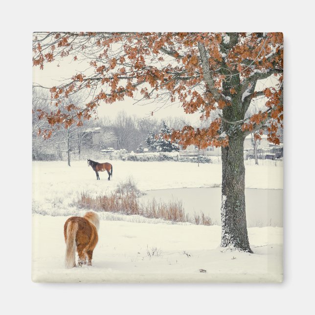 Íman Pony na neve com ímã de árvore (Frente)