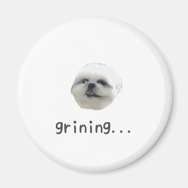 Íman PONZU magnet (Frente)