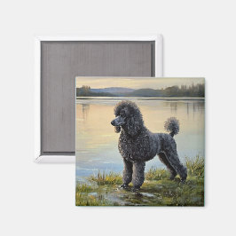 Íman Poodle