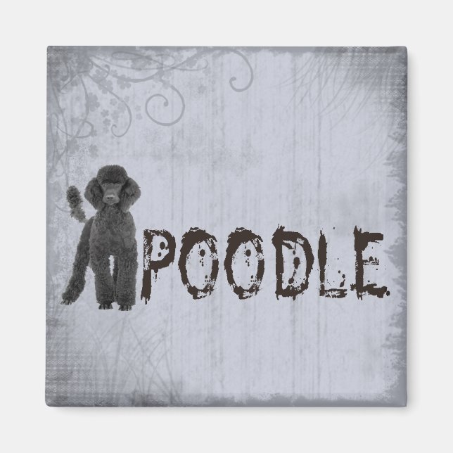 Íman Poodle (Frente)