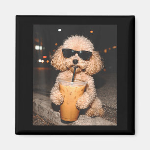 Íman Poodle bebendo café gelado meme de cachorro engraç