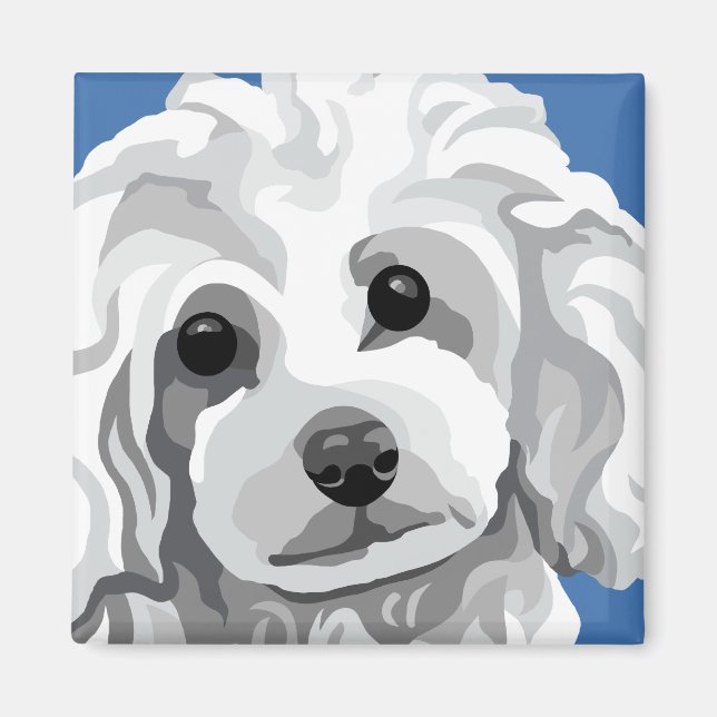 Íman Poodle Branco (Frente)
