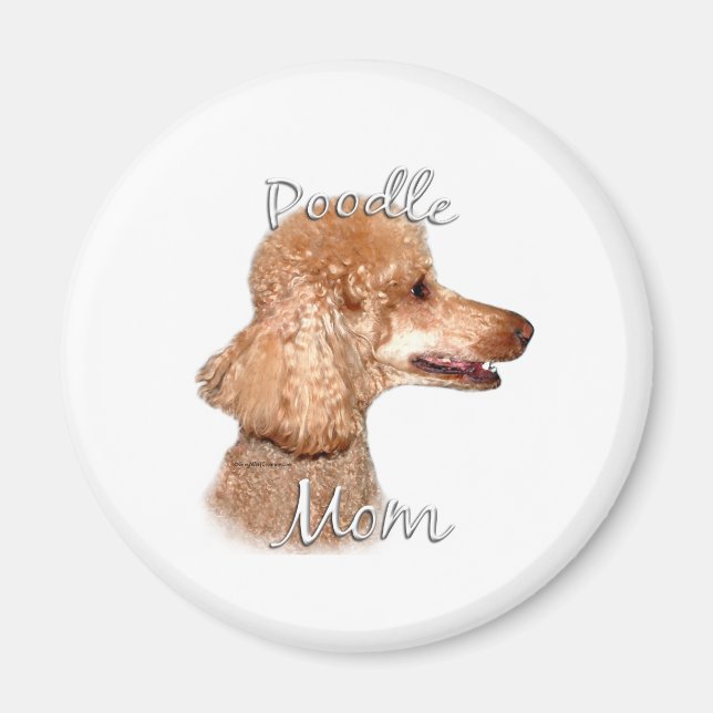 Íman Poodle (damasco) Mãe 2 (Frente)