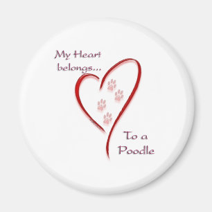 Íman Poodle Heart Pertence