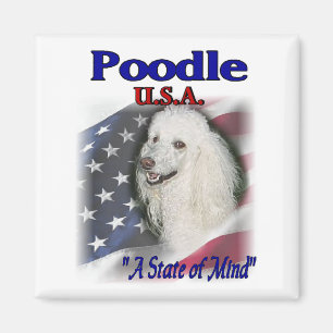 Íman Poodle Lovers