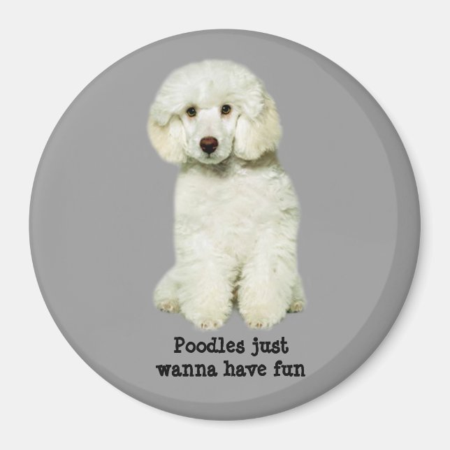 Íman Poodle Magnet (Frente)