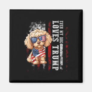 Íman Poodle Mesmo Meu Cachorro Ama Trump Engraçado