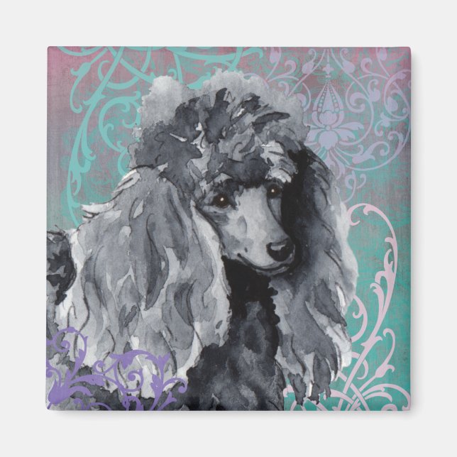 Íman Poodle Miniatura Elegante (Frente)
