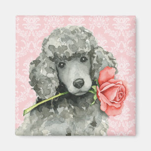 Íman Poodle Padrão do Rosa do namorados