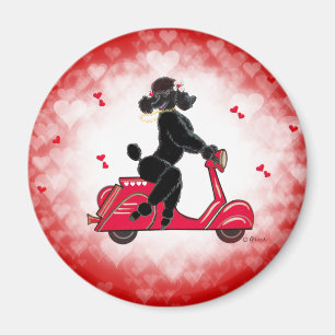 Íman Poodle Preto em Corações Vermelhos