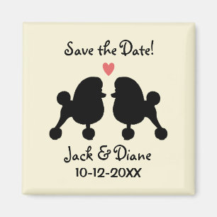 Íman Poodles Toy Pretos Elegantes Casamento Salve a Dat