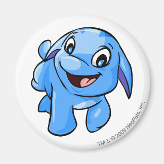 Íman Poogle Blue