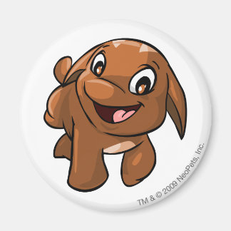Íman Poogle Brown