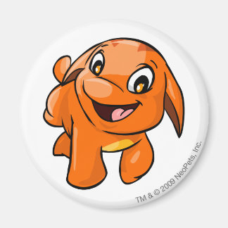 Íman Poogle Orange