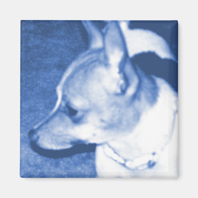 Íman Pop Art Chihuahua Magnet (Frente)