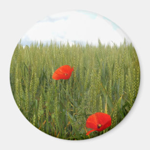 Íman Poppies num campo de trigo Grande Magneta redonda